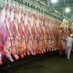 Exportación de carne: Mercado egipcio puede impulsar crecimiento del 40%