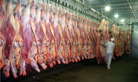 Exportación de carne: Mercado egipcio puede impulsar crecimiento del 40%