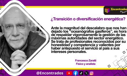 ¿Transición o diversificación energética?