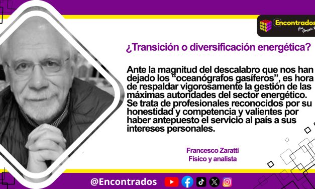 ¿Transición o diversificación energética?