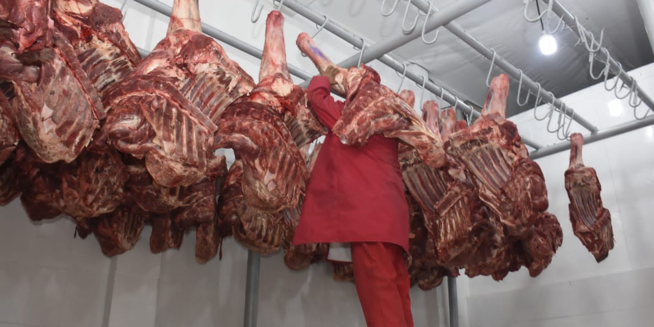 Ocho son los actores que configuran el precio de la carne de res en el país