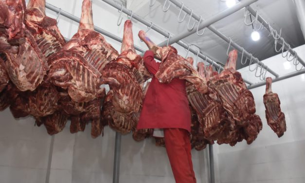 Ocho son los actores que configuran el precio de la carne de res en el país
