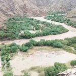 Riada en Cotagaita deja 500 familias damnificadas y 160 cabezas de ganado perdidas