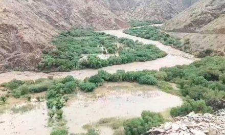 Riada en Cotagaita deja 500 familias damnificadas y 160 cabezas de ganado perdidas