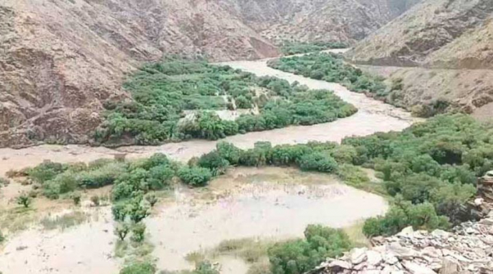 Riada en Cotagaita deja 500 familias damnificadas y 160 cabezas de ganado perdidas