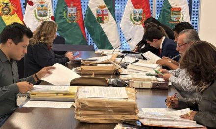 TSE: pasan 348 y 92 quedan inhabilitados; algunos presentaron títulos falsos