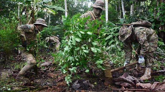 Bolivia da un giro en la política antidroga con otro enfoque sobre la coca y presencia de EEUU