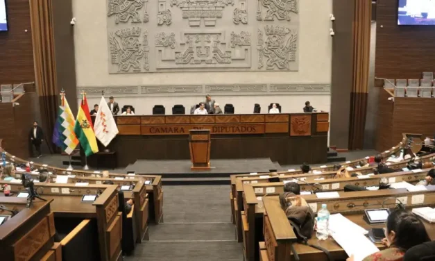 Cámara de Diputados aprueba en grande el crédito por $us 550 millones de la CAF 