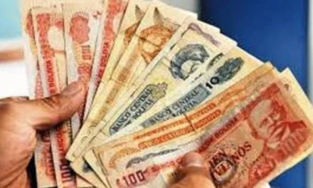 Gobierno contempla un aumento al salario mínimo nacional y a la Renta Dignidad a partir de enero 