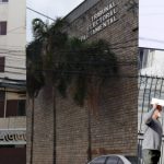 Conoce a los postulantes a vocales de los Tribunales Departamentales: La Paz, Santa Cruz y Cochabamba.