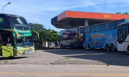 Asosur: “Es hora que se analice la forma en la que se va levantar la subvención” a los combustibles