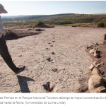 Descubrieron 16.600 huellas de dinosaurios en Bolivia: “Muestran una diversidad y comportamientos nunca vistos”, dijo el líder del estudio