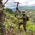 Zar antidrogas dice que la coca se ha desbordado y estima 40 mil hectáreas de cultivos en 2025