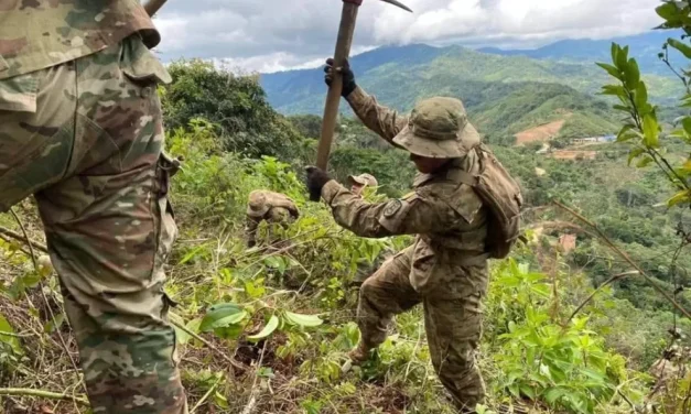 Zar antidrogas dice que la coca se ha desbordado y estima 40 mil hectáreas de cultivos en 2025