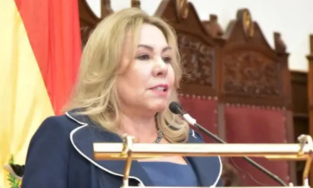 Plan contra avasallamientos incluye revisión predio por predio y desalojos con la Policía y la Fiscalía, dice decana del TSJ