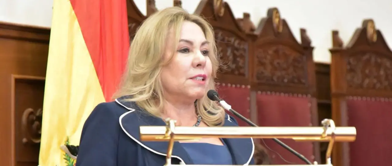 Plan contra avasallamientos incluye revisión predio por predio y desalojos con la Policía y la Fiscalía, dice decana del TSJ