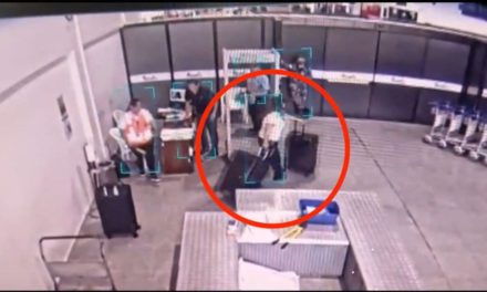 Informe señala que maletas ingresadas por la exdiputada Laura Rojas contenían $us 100 millones