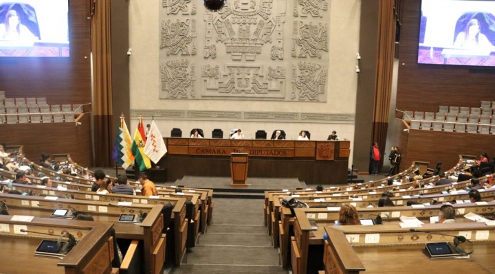 Diputados aplazan la designación de vocales del TED La Paz por falta de consenso