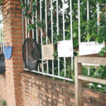 Inscripciones arrancan con filas en La Paz y Cochabamba, incluso hay padres con carpas; en Santa Cruz se registran lluvias