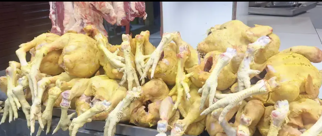 Productores reportan pérdidas ante la baja del precio del kilo de pollo en los mercados