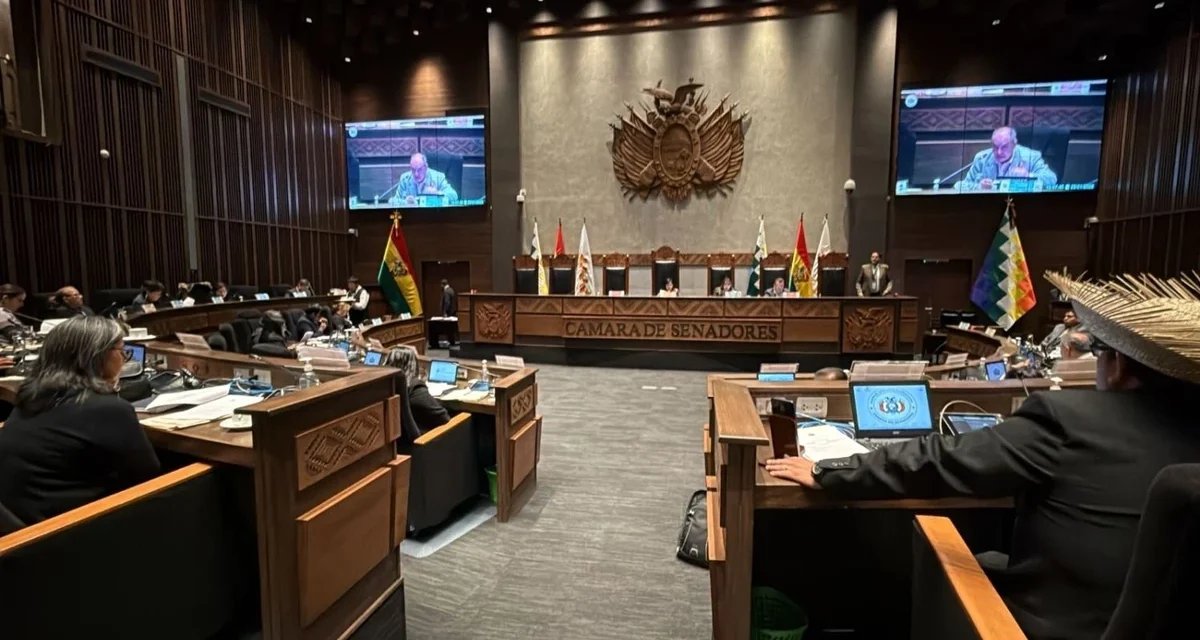 Presentan proyecto de ley de cielos abiertos; ¿qué sucederá con BoA?