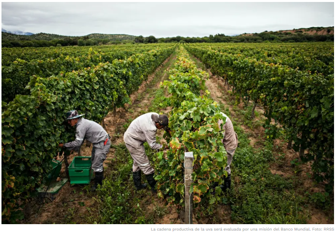 Banco Mundial evalúa programas productivos e inversiones en el agro