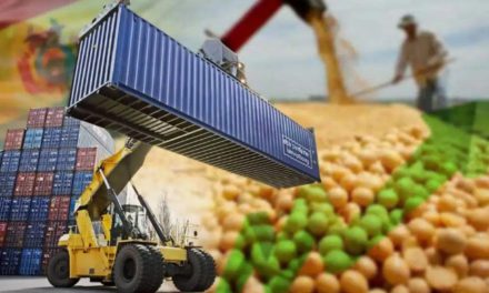Bolivia cerró 2025 superando los $us 1.000 millones en exportaciones solo en diciembre