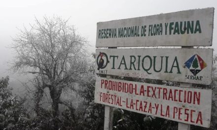 Defensoría busca suspender exploración en Tariquía, pide medidas cautelares a un juez agroambiental