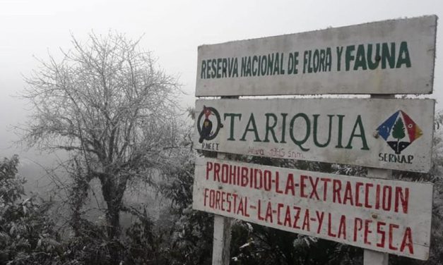 Defensoría busca suspender exploración en Tariquía, pide medidas cautelares a un juez agroambiental