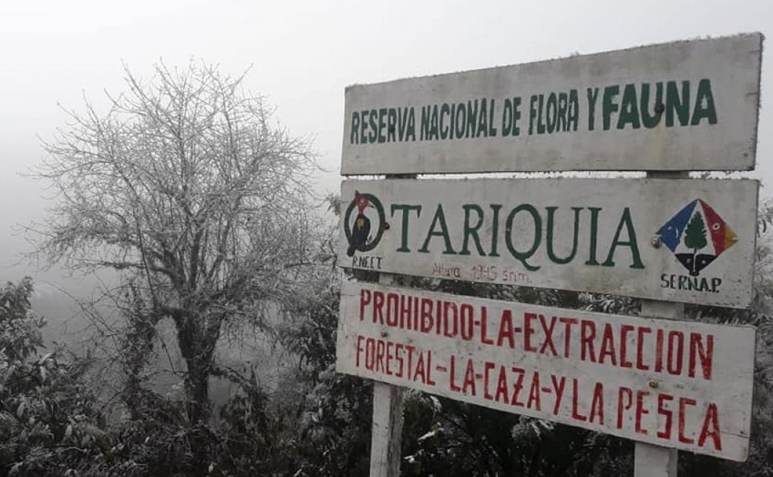 Defensoría busca suspender exploración en Tariquía, pide medidas cautelares a un juez agroambiental