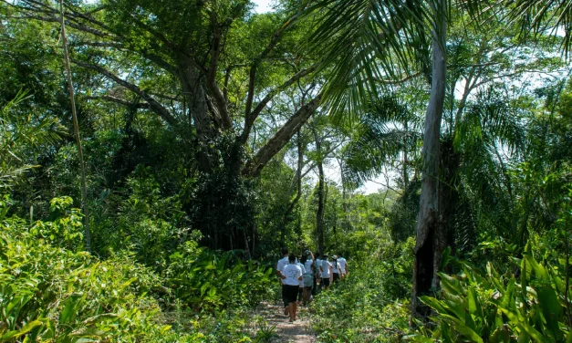 Auditoría a 78 proyectos tras detectar ejecución menor al 10% con desembolso casi total