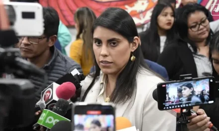 Gobierno asegura que el Viceministerio de Autonomías no tiene la función de ejercer control político sobre las regiones