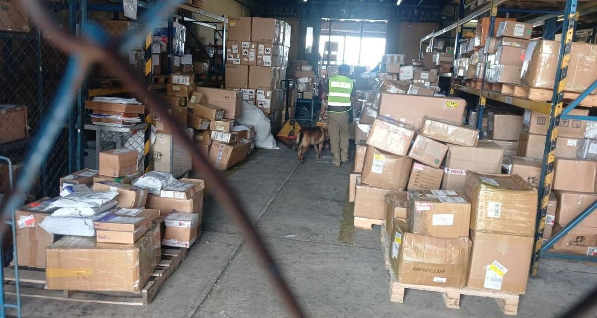 Con canes adiestrados, allanan bodegas de Aduana en Viru Viru tras hallazgo de marihuana en encomiendas 
