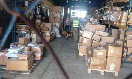 Con canes adiestrados, allanan bodegas de Aduana en Viru Viru tras hallazgo de marihuana en encomiendas 