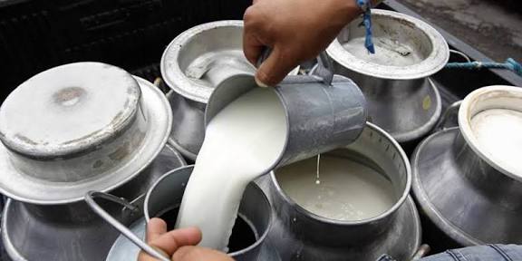 Cochabamba: Sector lechero se movilizará este viernes exigiendo nivelación de precios 