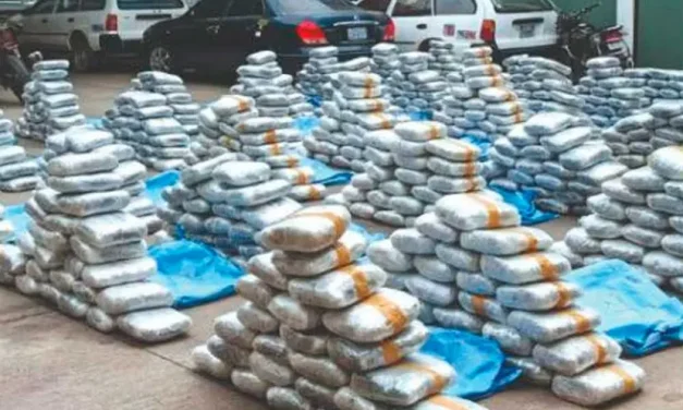 Hallan una tonelada de marihuana en una casa de la ciudad de Cochabamba