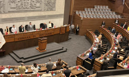 Diputados designa vocales del TED Chuquisaca y posterga elección en La Paz por amparo constitucional