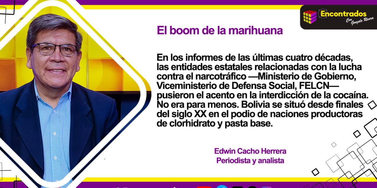 El boom de la marihuana