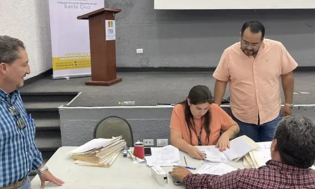 Subnacionales: Este viernes se sortean jurados electorales y el domingo se publican las listas