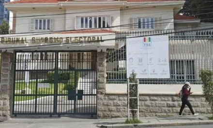 TSE presentará este fin de semana el padrón electoral para las subnacionales