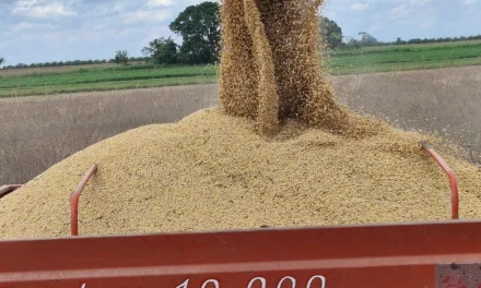 Gobierno oficializa arancel cero para la importación de soya hasta fin de año