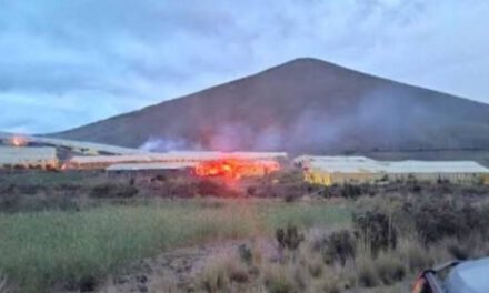 Golpe al narcotráfico: destruyen megacultivos en Potosí y detectan nuevas rutas y métodos de camuflaje