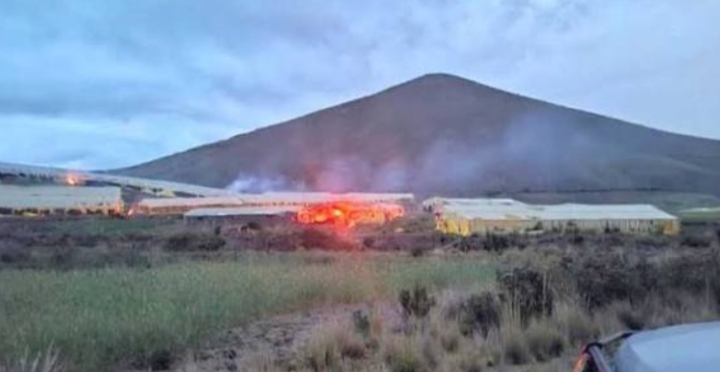 Golpe al narcotráfico: destruyen megacultivos en Potosí y detectan nuevas rutas y métodos de camuflaje