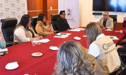 Observación internacional refuerza vigilancia electoral rumbo a las subnacionales