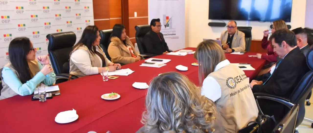 Observación internacional refuerza vigilancia electoral rumbo a las subnacionales