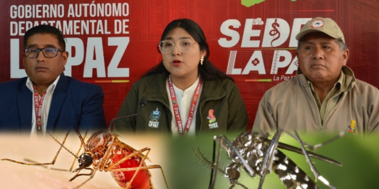 SEDES La Paz reporta 70 casos de chikungunya, 26 casos de dengue