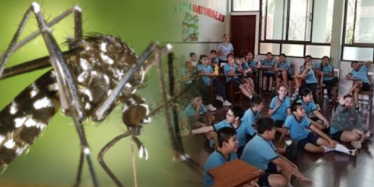 Brote de chikungunya provoca hasta 30% de ausentismo escolar en colegios de Santa Cruz