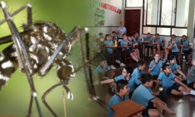 Brote de chikungunya provoca hasta 30% de ausentismo escolar en colegios de Santa Cruz