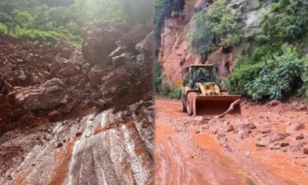 Derrumbes por lluvias dejan cinco tramos carreteros cerrados en Santa Cruz y Tarija
