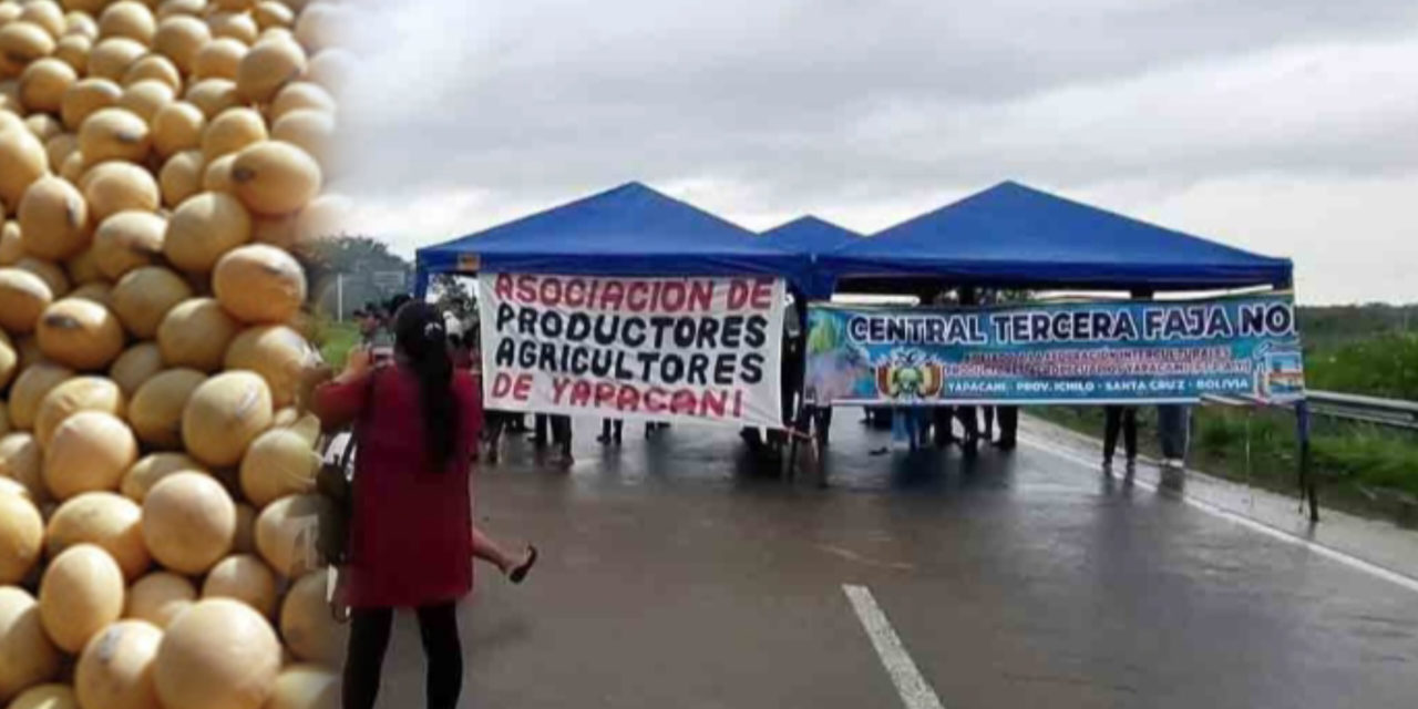 Gobierno formaliza pedido para abrogar decreto que permite importar soya con arancel cero